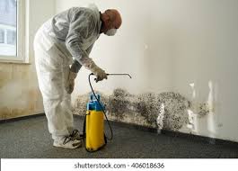 Why You Should Choose Our Mold Remediation Services in Watertown, NY